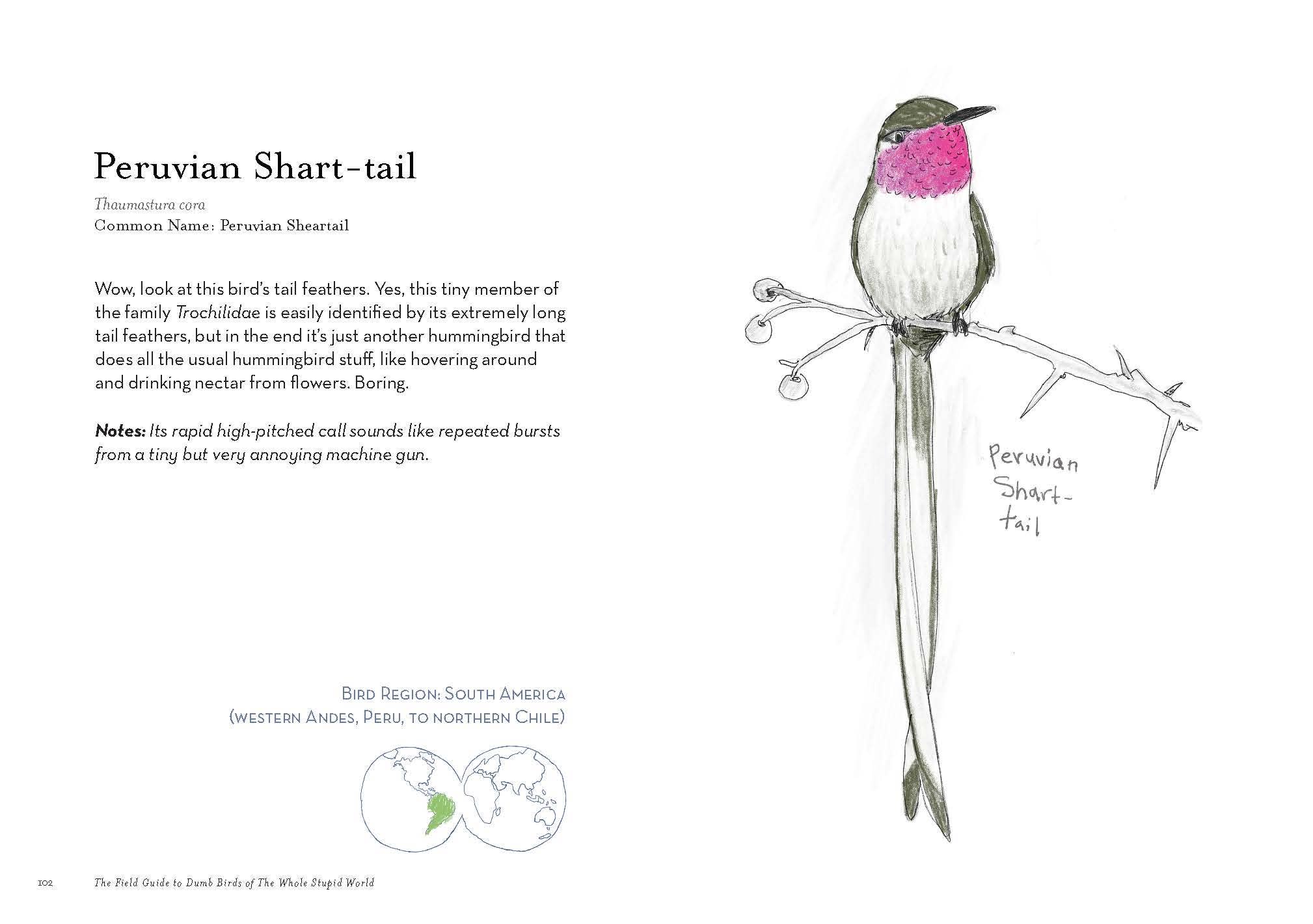 Chronicle Books - Wholesale Humor - The Field Guide to Dumb Birds of the Whole Stupid World12