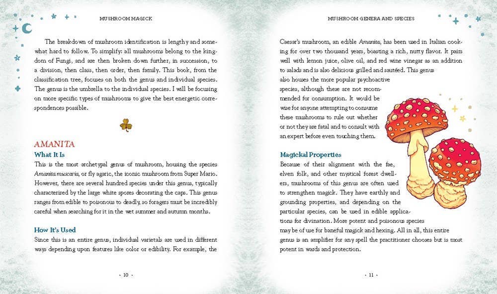 Hachette Book Group - Wholesale Nature & Outdoors - Mushroom Magick by Shawn Engel5