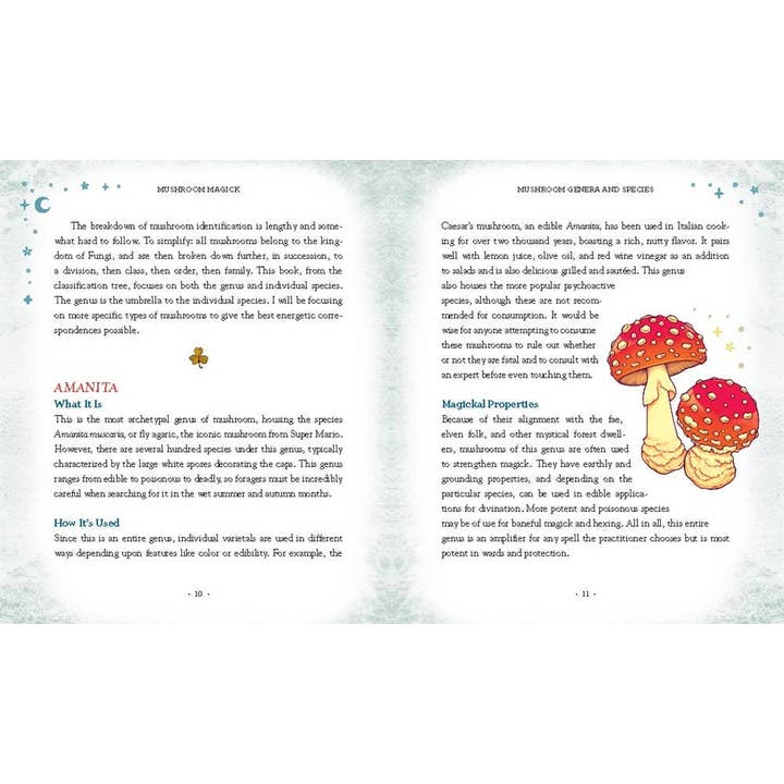 Hachette Book Group - Wholesale Nature & Outdoors - Mushroom Magick by Shawn Engel5