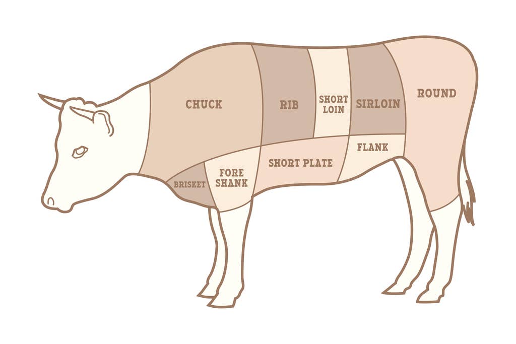 Multi Color Beef Cuts Butcher Shop Diagram Cool Wall Decor Art Print Poster  for wholesale on Faire0