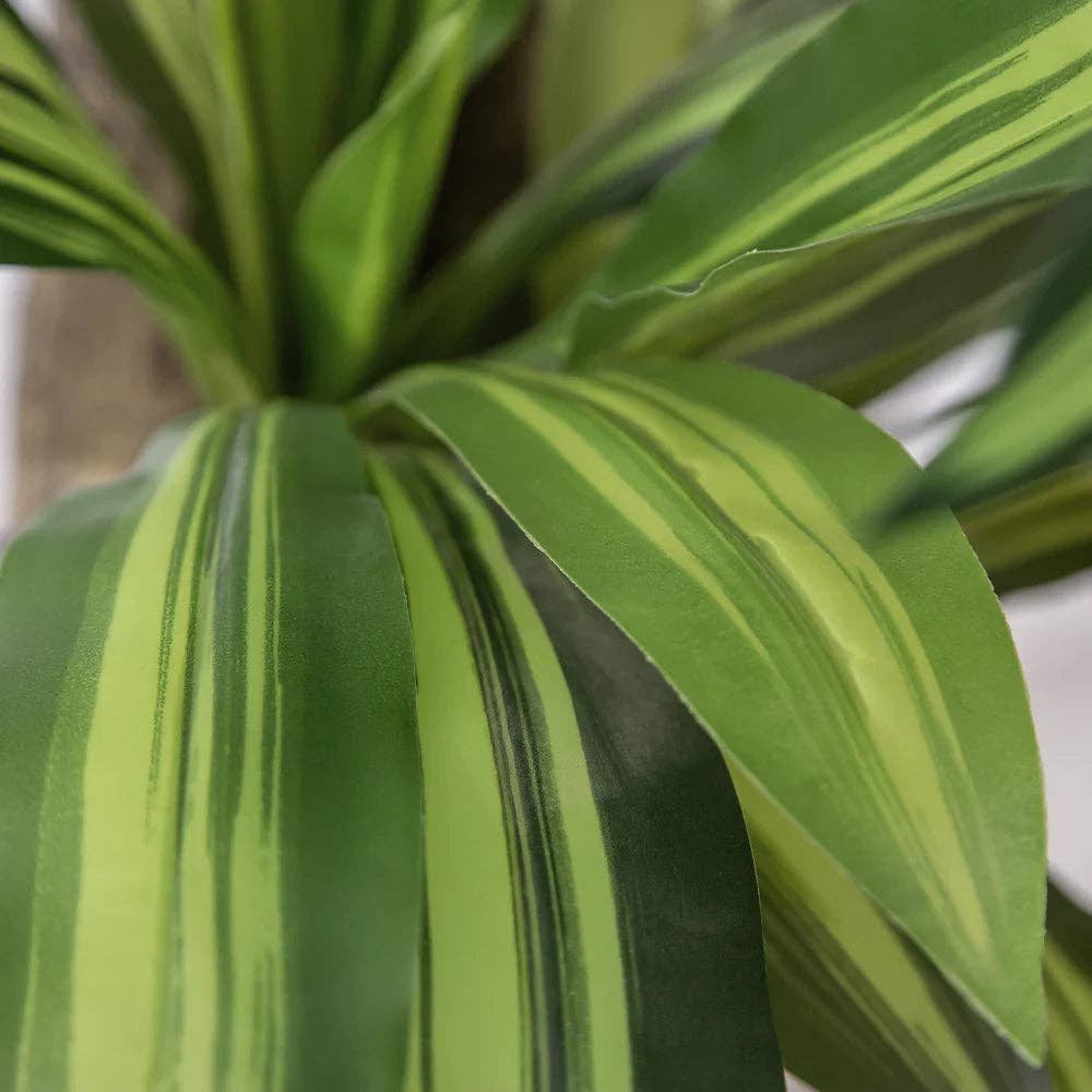 Maia Shop: No Duties for the US - Wholesale Artificial Plant - 3.5' Artificial Dracaena Tree4