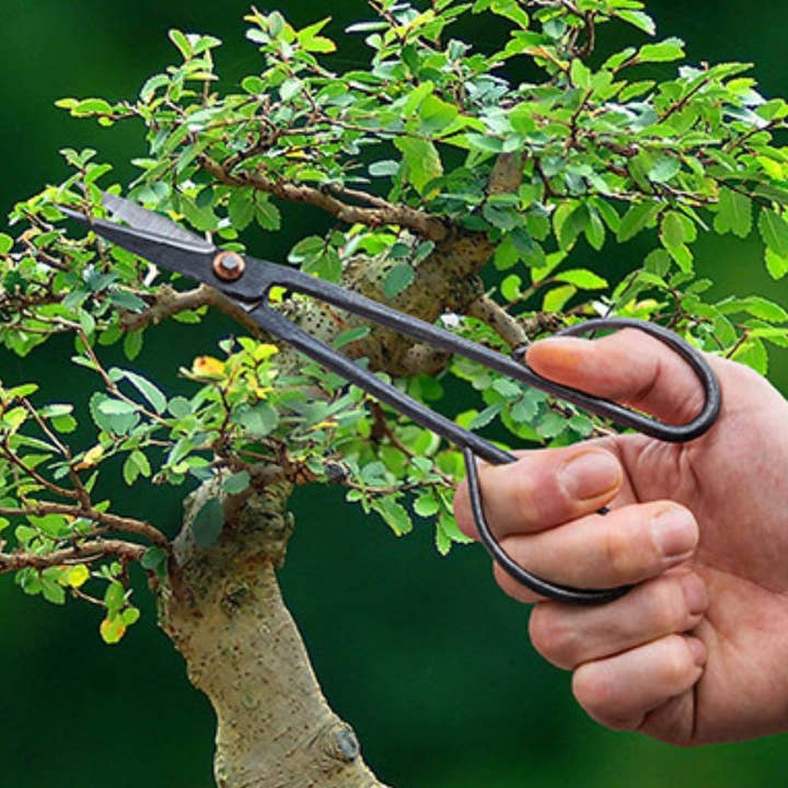 Trendhero.nl/b2b - Wholesale Garden Tool - Bonsai twig shears slim - 20,5 cm - Bonsai tool0