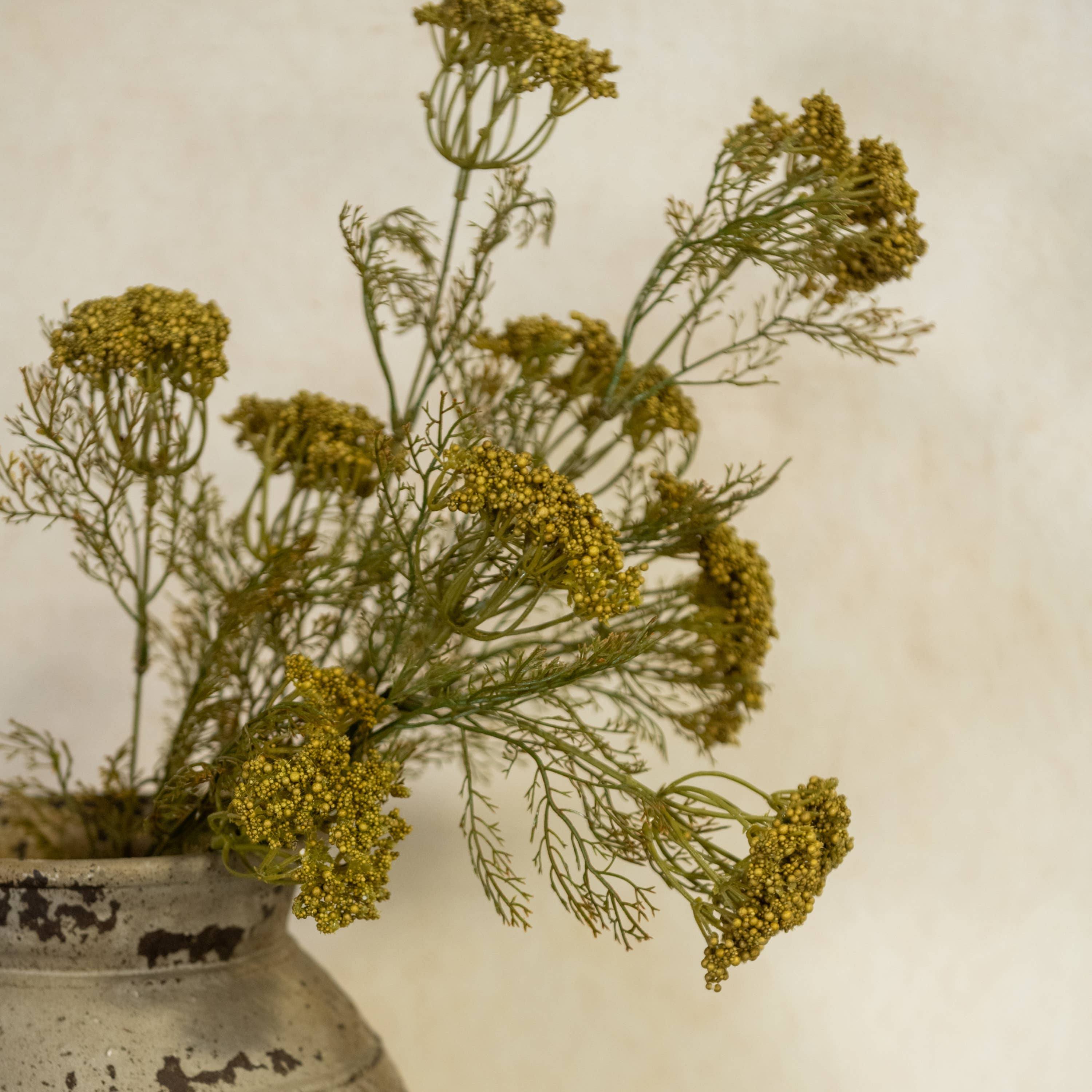 Ragon House - Wholesale Artificial Plant - 28" GREEN QUEEN ANNE LACE SPRAY4