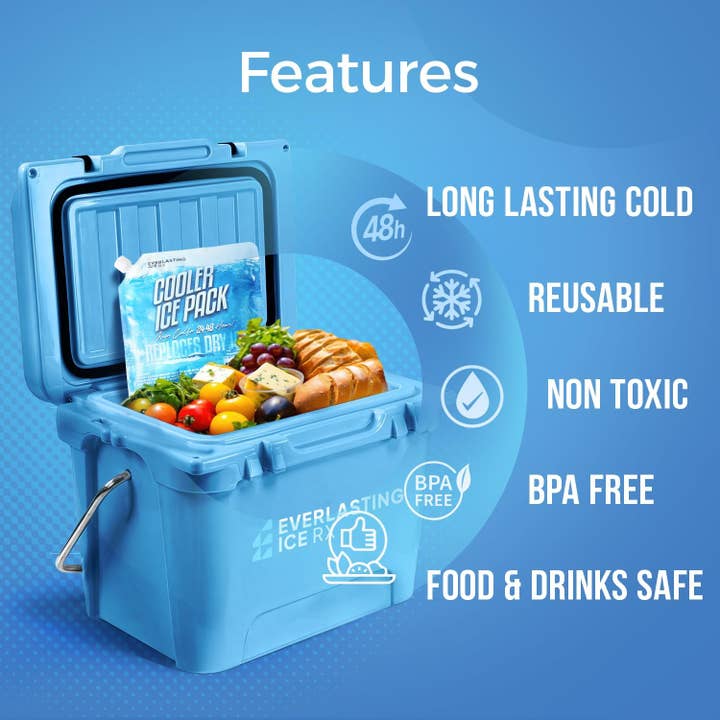 Everlasting Ice RX - Wholesale Ice-pack - Herbruikbare ijspakken voor koelbox (4 stuks) Diepvriespakketten tot 48 uur voor koelers en lunchboxen | 10 x 10 inch | Koelijspakken voor kamperen, vissen, strand, roadtrips1