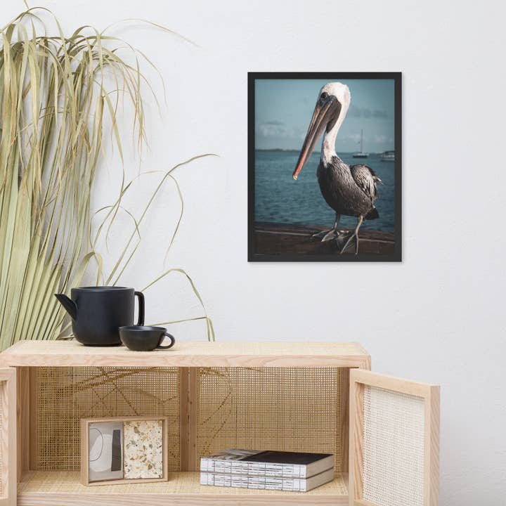 Pipa Wall Art & Home Decor - Wholesale Art print - Bob The Pelican 2 Colorized Wildlife Photo Framed Wall Art3
