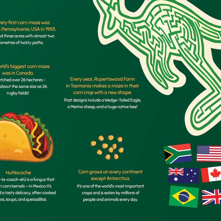 George the Farmer - Wholesale Pre-school book (3–5) - George the Farmer Kangaroo Cornfield8