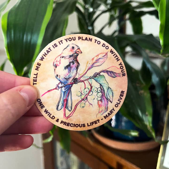 Fabulously Feminist - Wholesale Sticker - Feminist Sticker: Mary Oliver quote
