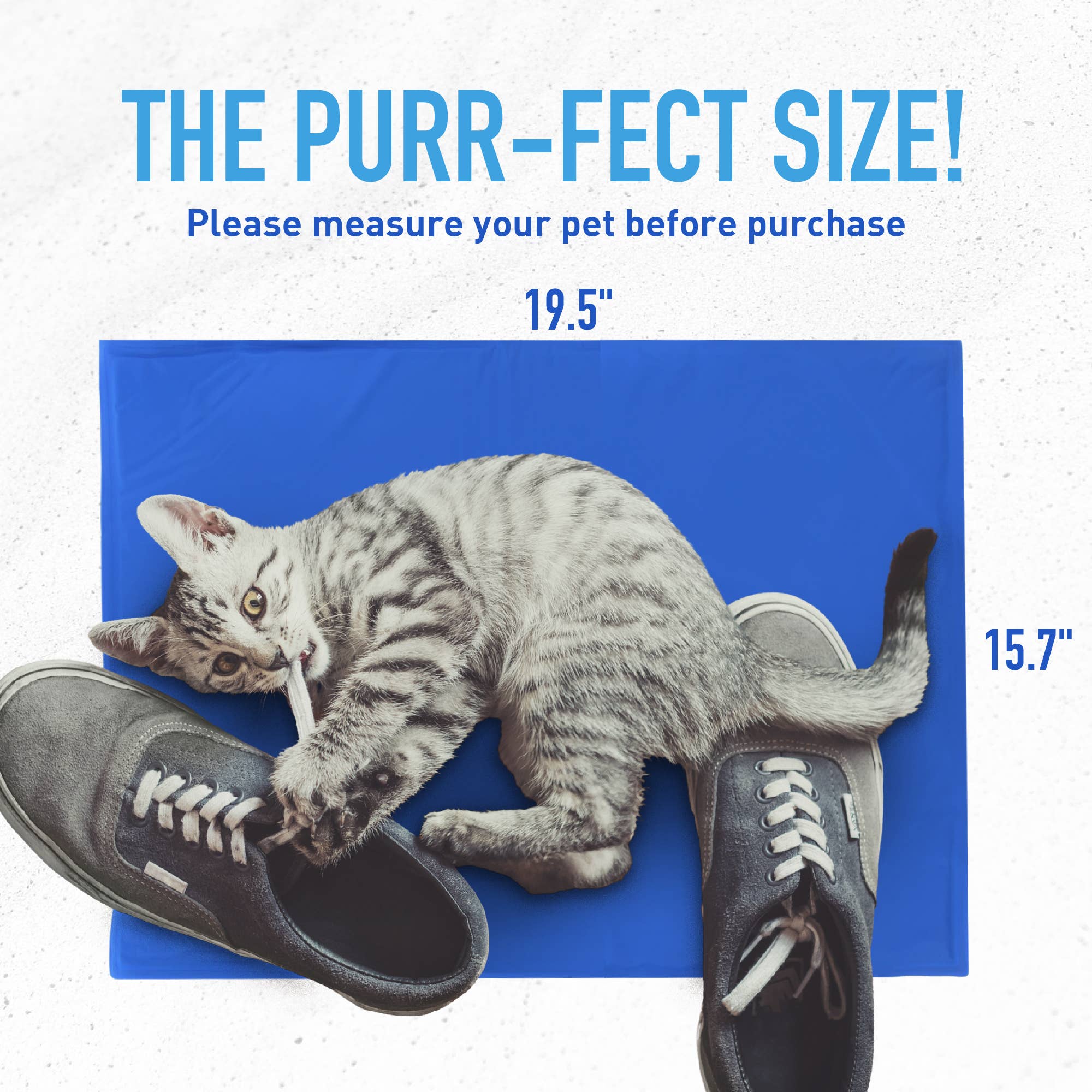 The Green Pet Shop - Vendita all'ingrosso Tappetino - Cani - Tappetino refrigerante Chillz in gel per animali5