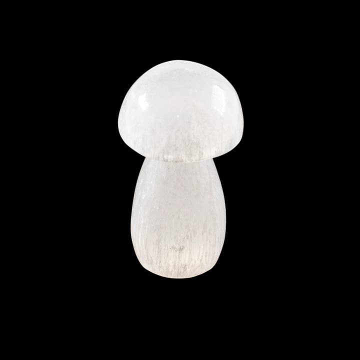 Quasar Gems USA - Wholesale Spiritual Stone/Crystal - Selenite Mushroom White 6cm2