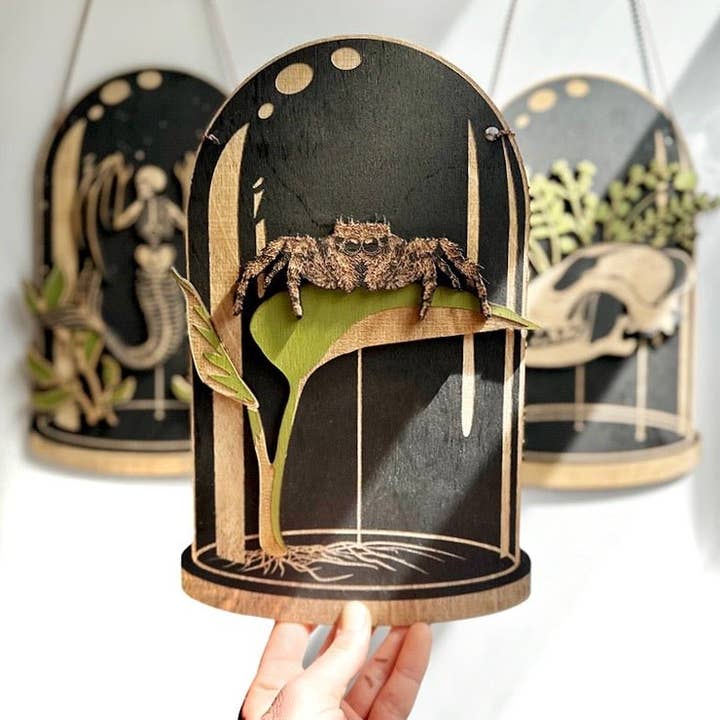 Faux Theory Design - Wholesale Wall Accent - Jumping Spider Curiosity Dome | Layered Wood
