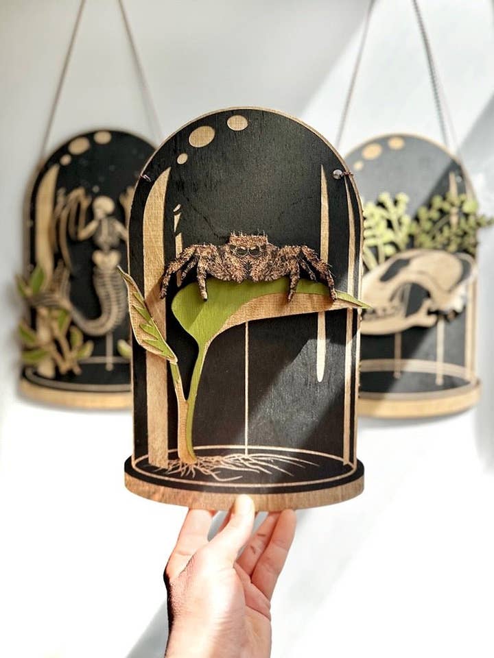 Cupola della Curiosità del Ragno Saltatore | Legno Stratificato per la vendita all'ingrosso da parte di Faux Theory Design