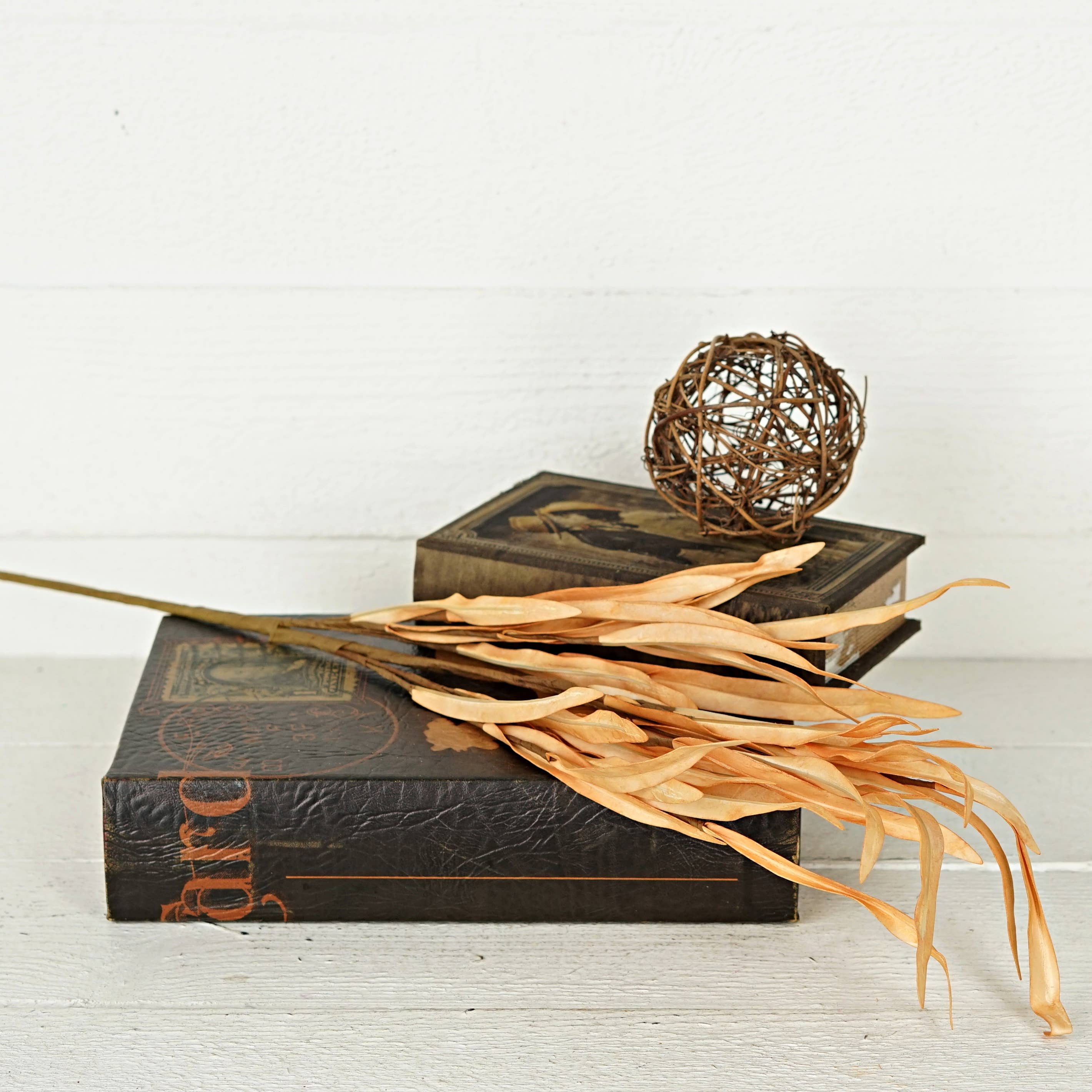 Impressive Enterprises, Inc. - Wholesale Artificial Flowers - 29563- 27in Spray-Foam Willow Leaves-Autumn1