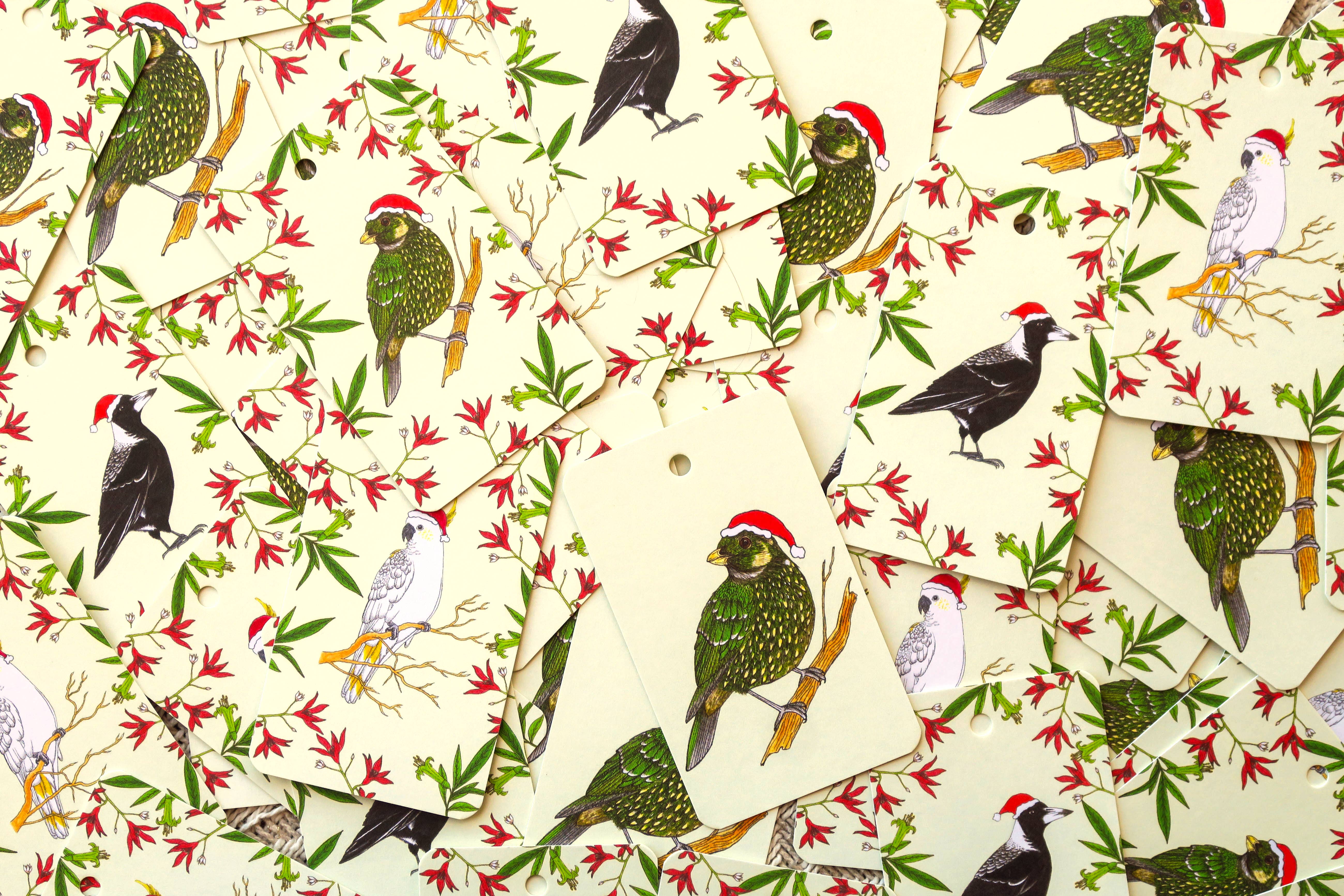 Sunshine Sea Art - Wholesale Gift tag - Magpie Christmas Gift Tag Australian Bird Xmas Green Tag2