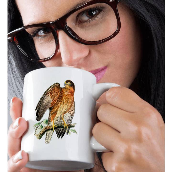 3dRose - Wholesale Coffee Mug - 3dRose, Brown Goshawk Bird of Prey Vintage Art - Predator Hawk Raptor Birds, Mug9