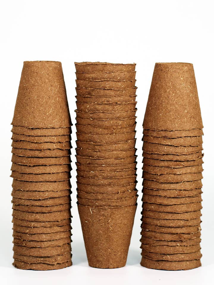 NO DUTIES 60 Pc Daniel's Plants 3" Naked Pots for wholesale by Daniel's Plants