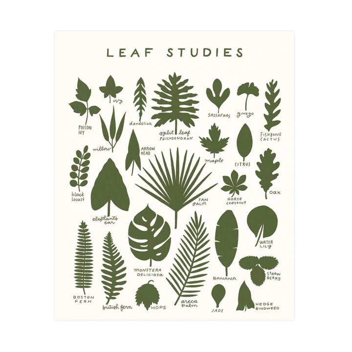 Leaf Studies Impression 16 x 20 pour la vente par Worthwhile Paper