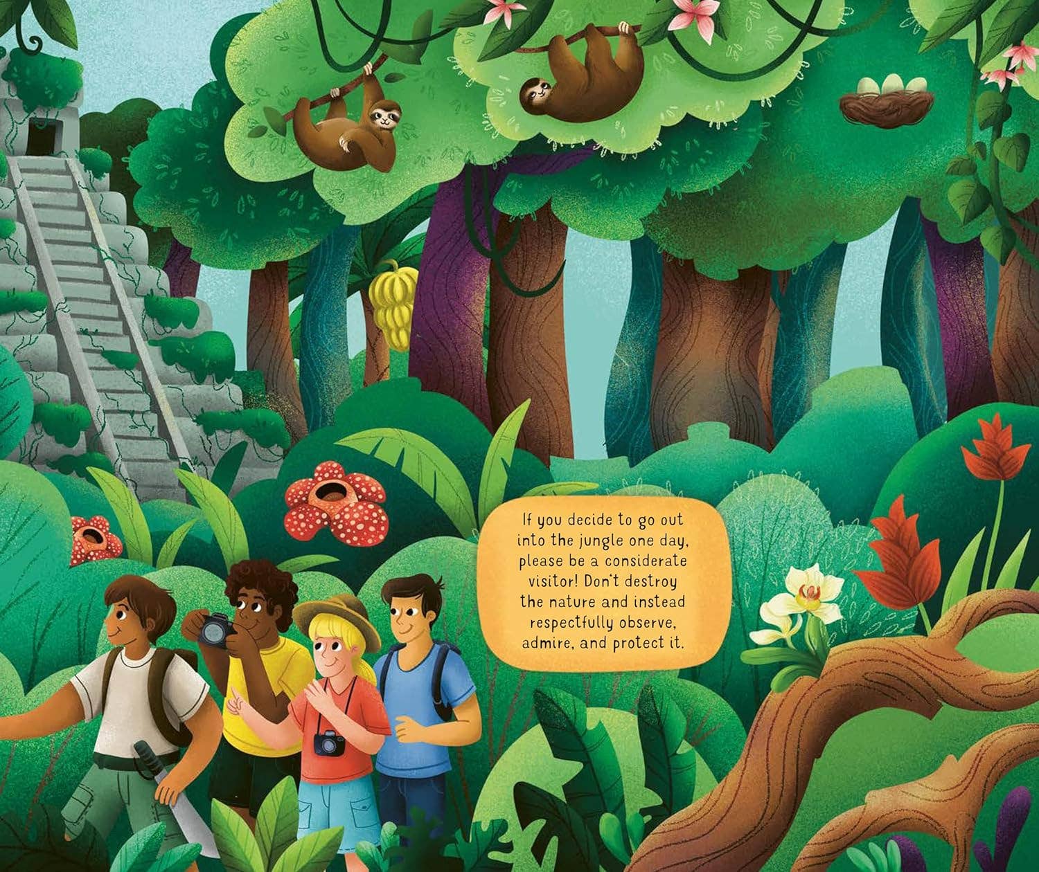 Fox Chapel Publishing - Wholesale Baby & Toddler Book (0-2) - Exploring the Adventurous World of the Jungle2