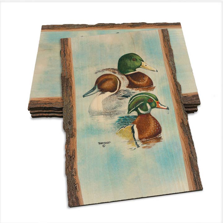 DaydreamHQ - Wholesale Art Print - Bartholet's Puddle Duck Trio - Live Edge