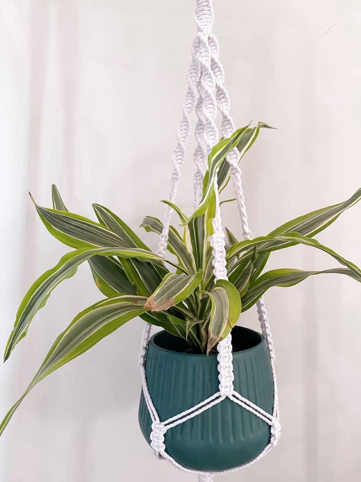 Macrame Plant Hangers for wholesale by Rustic & Dreaming Co