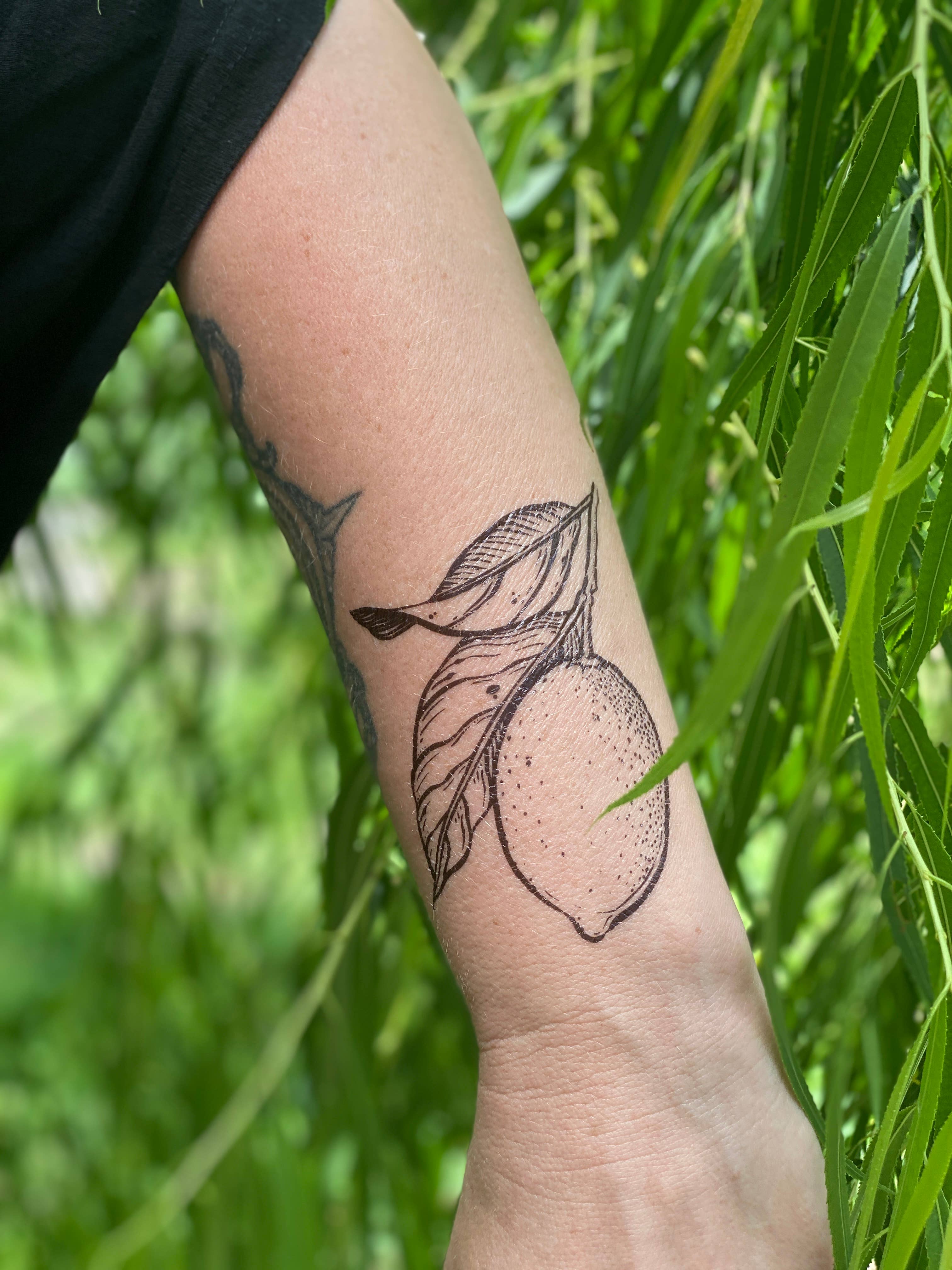 NatureTats - Wholesale Temporary Tattoo - Lemon Temporary Tattoo5