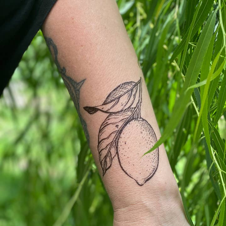 NatureTats - Wholesale Temporary Tattoo - Lemon Temporary Tattoo5