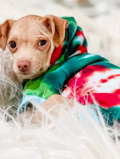 Tie Dye Festive Christmas Dog Hoodie for wholesale by Shanna's Tie Dye
