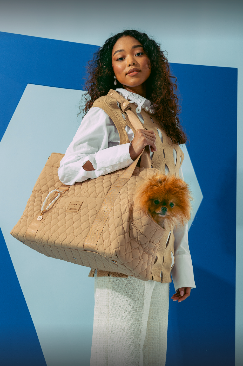 maxbone - Vente Caisse de transport – chien - Sac de transport pour chien Bridgerton x maxbone1