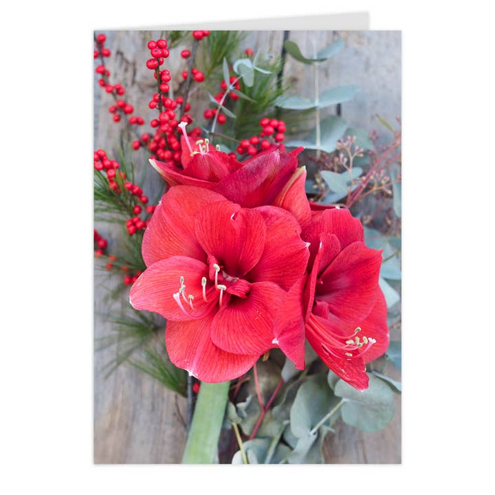 Midi-klapkort "Amaryllis" for engroshandel hos paruspaper. nutzfeine papeterie