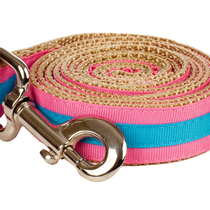 Paw Paws USA - Wholesale Pet Leash - Dog - Prep School Dog Leash8