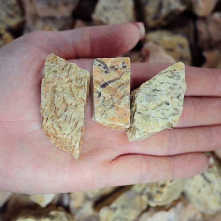 Fantasia Mining - Wholesale Spiritual Stone/Crystal - Rough Zebradorite Crystals - Raw Natural Stones (1 lb)