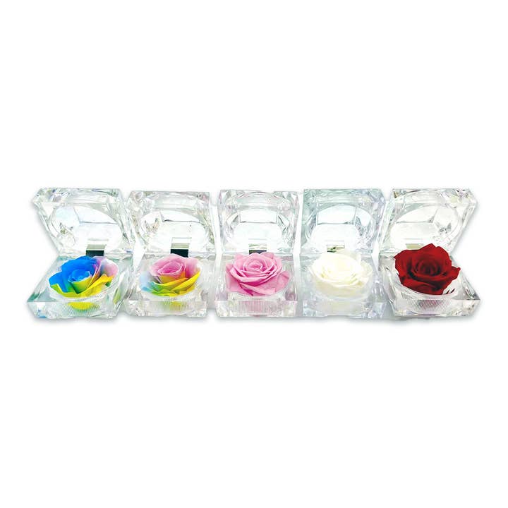 Novelty Brands - Wholesale Retailer Display - Home & Living - Real Preserved Rose Keepsake Gift Assortment - 12/Display5