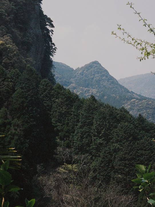 Puzzle de randonnée Fine Art pour la vente par Timeless Goods Store