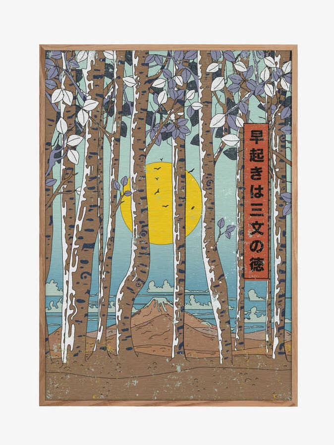 Japanische Birkenbäume für den Großhandel von Pictufy Wholesale