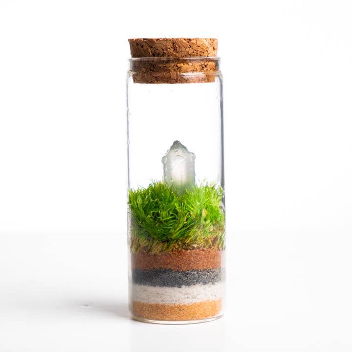 Ecodecs - Wholesale Terrarium - Zelfvoorzienend terrarium met mineraal - Miniterra