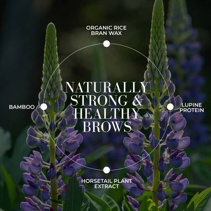 Fitglow Beauty - Wholesale Eyebrow Pencil/Filler - Plant Protein Brow Gel - Clear3