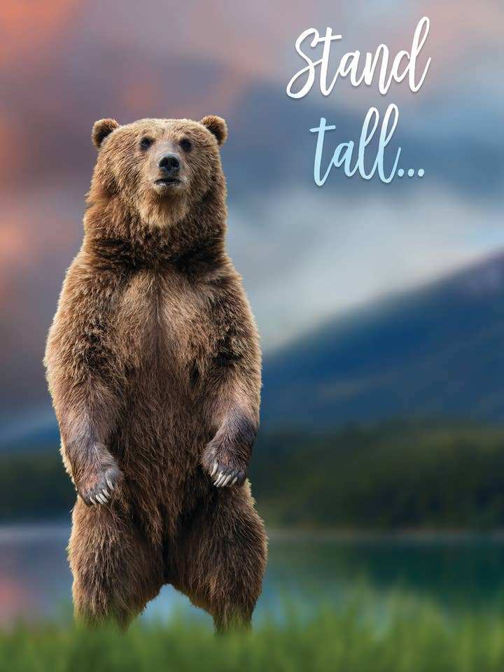 Ours rouge/debout pour la vente par Greeting Cards by Norcard