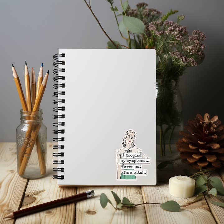 Raven's Rest Studio - Wholesale Sticker - Funny STICKER. I Googled My Symptoms.. Turns Out I'm A Bitch3