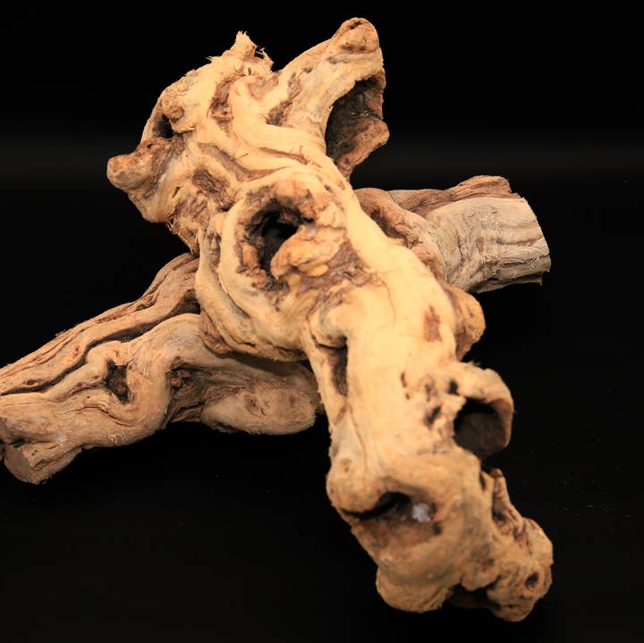 Forever Green Art - Wholesale Decorative Tabletop Object - Tumbled Grapewood Log0