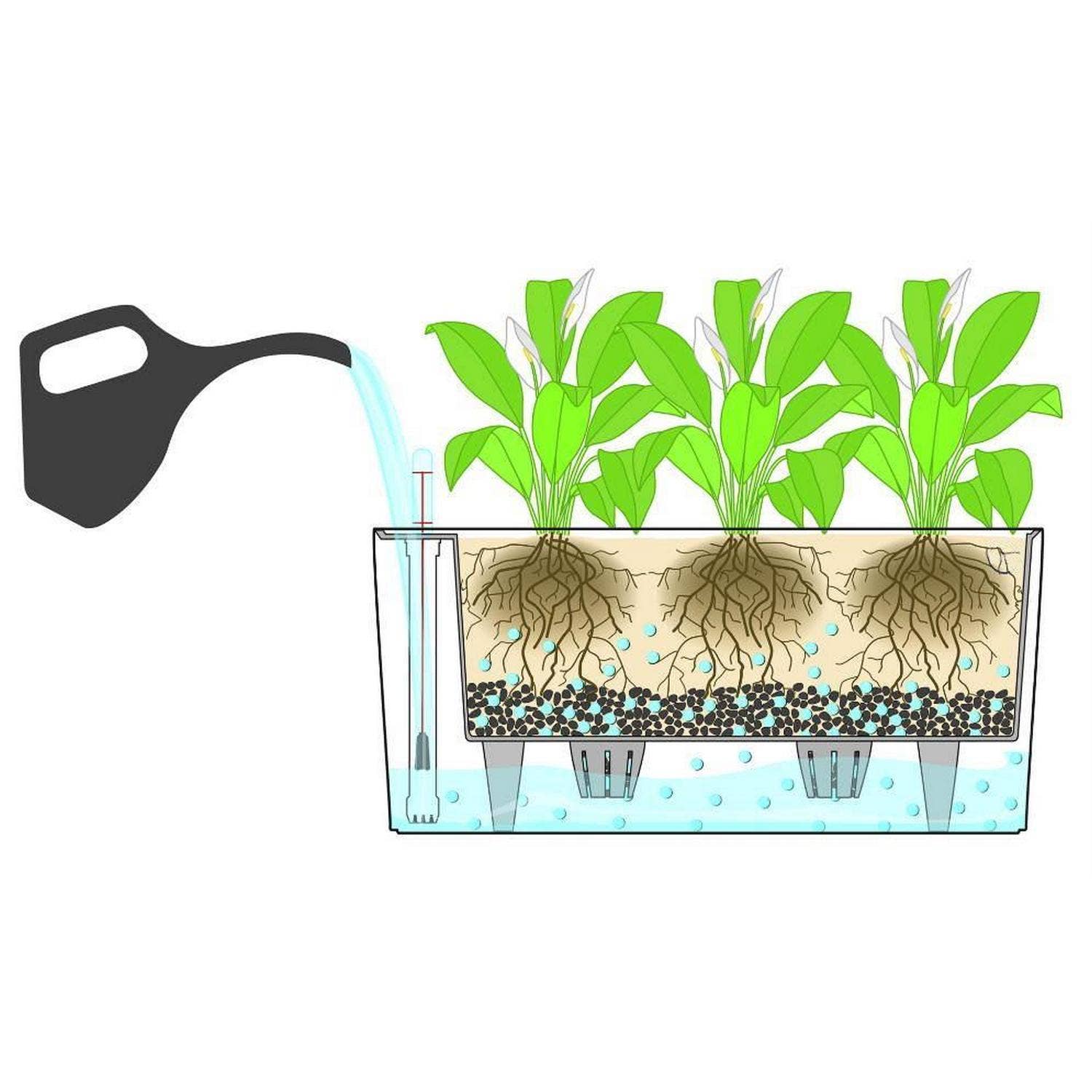 Lechuza Self Watering Planters - Vendita all'ingrosso Vasi per piante - LECHUZA DELTA Fioriera da tavolo/davanzale in poliresina17