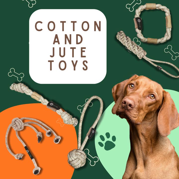 Nouveaux jouets en corde de coton ! Une variété de styles parmi lesquels choisir ! pour la vente par Advance Pet Products