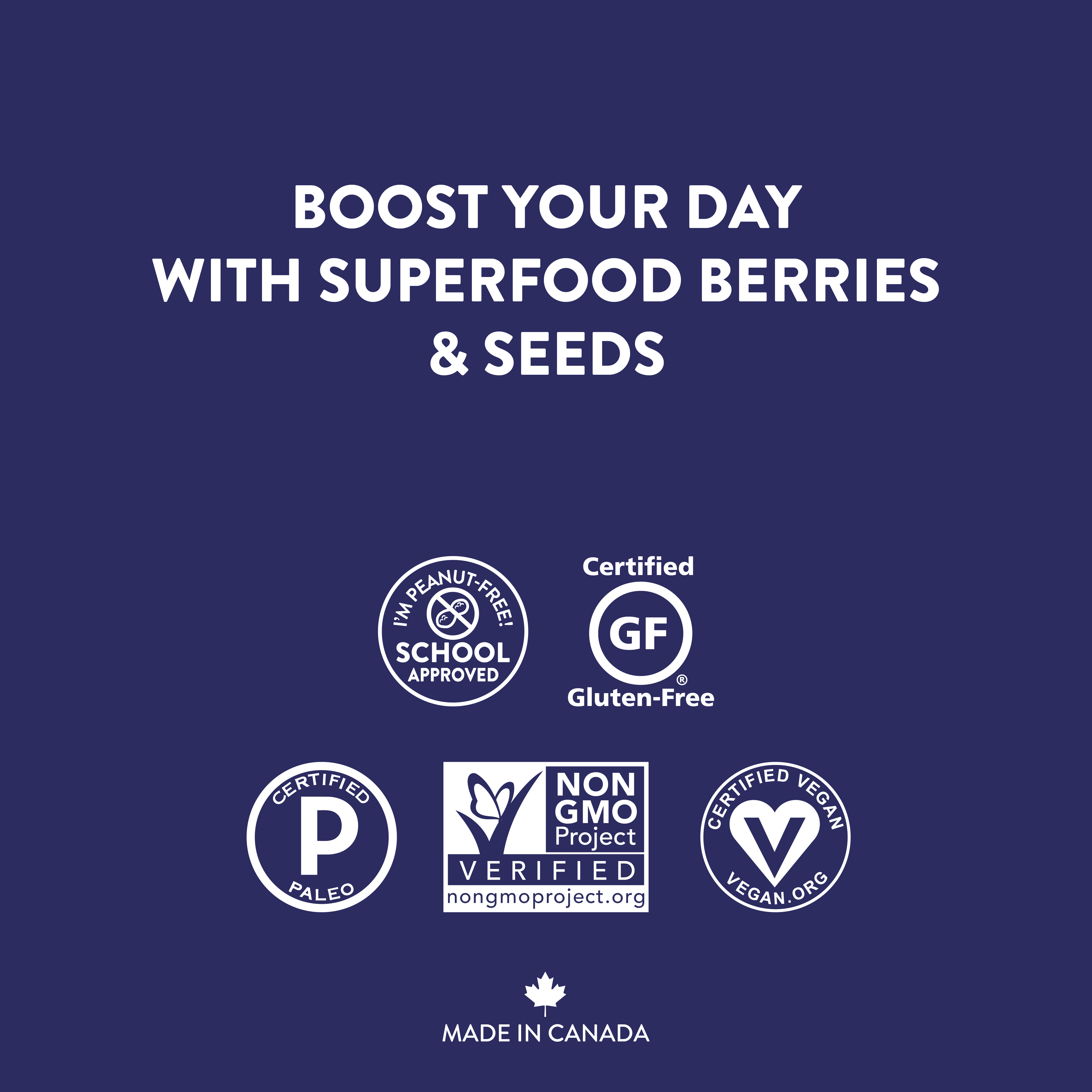 Healthy Crunch - Wholesale Trail Mix - Wild Berry Trail Mix2