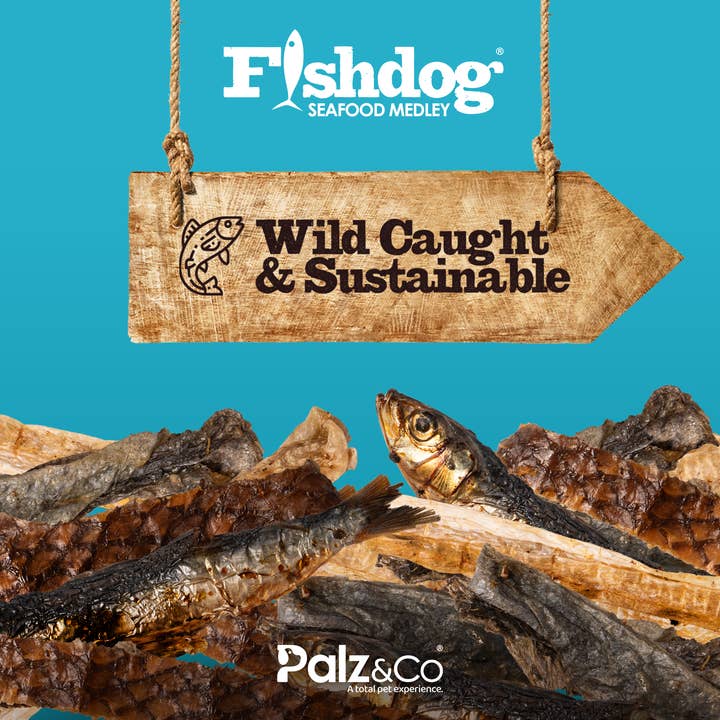 Palz&Co - Wholesale Pet Treats - Dog - Fishdog Seafood Medley - 2.5 oz (70g)6