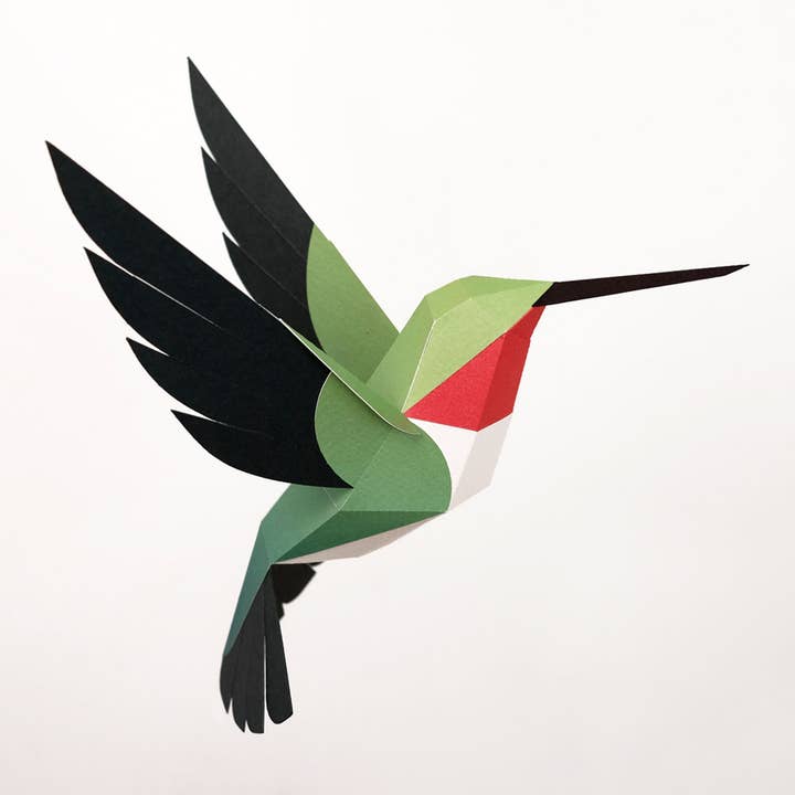 PLEGO - Wholesale DIY Craft Kit - SELASPHORUS PLATYCERCUS - paper bird5