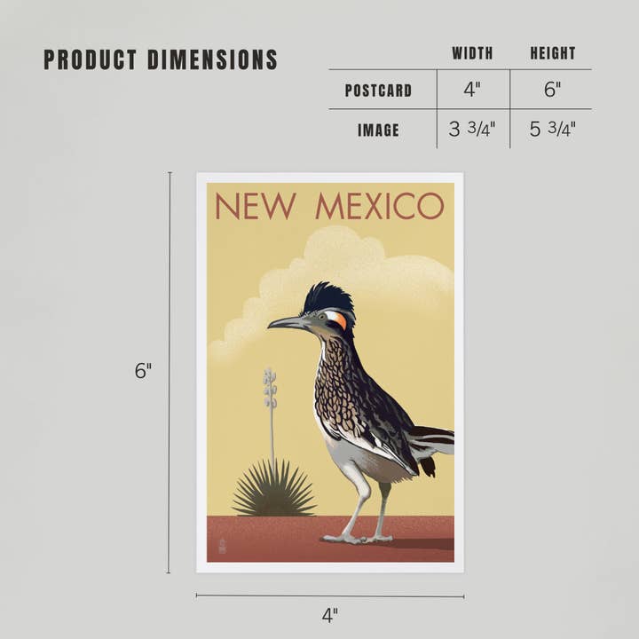 Lantern Press - Wholesale Postcard - PREMIUM POSTCARDS New Mexico, Roadrunner, Lithograph4