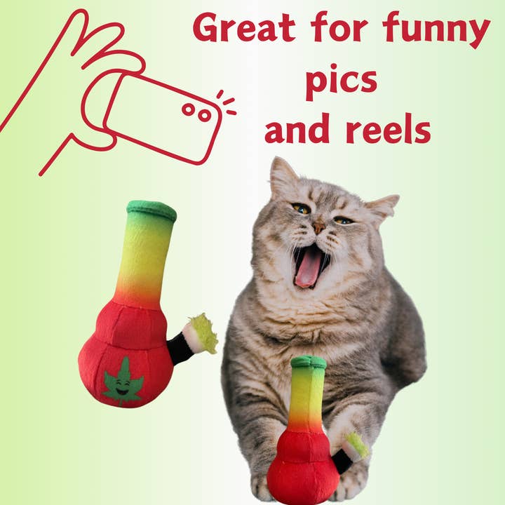 PAW:20 - Wholesale Pet Toy - Cat - My Name is Lil Bo da Bong, Funny Catnip Weed Themed Cat Toy4