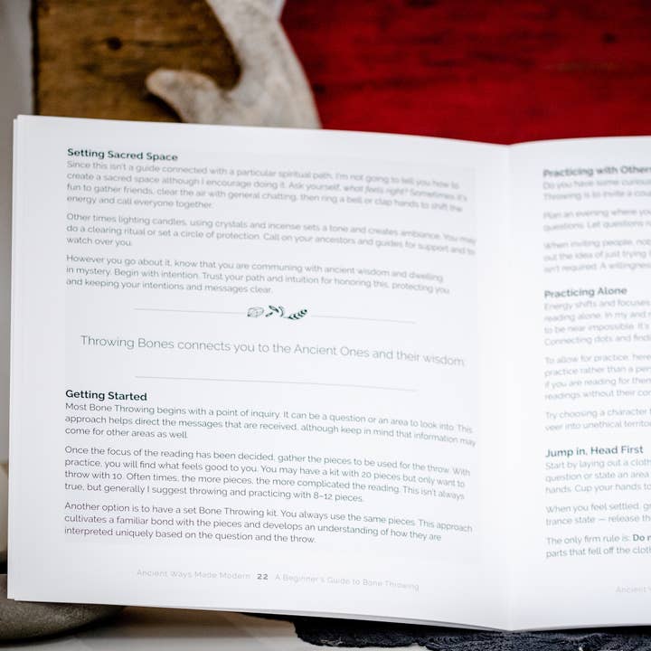 Taming the Tangle - Wholesale Body, Mind & Spirit - A Beginner's Guide to Bone Throwing, divination guide book7