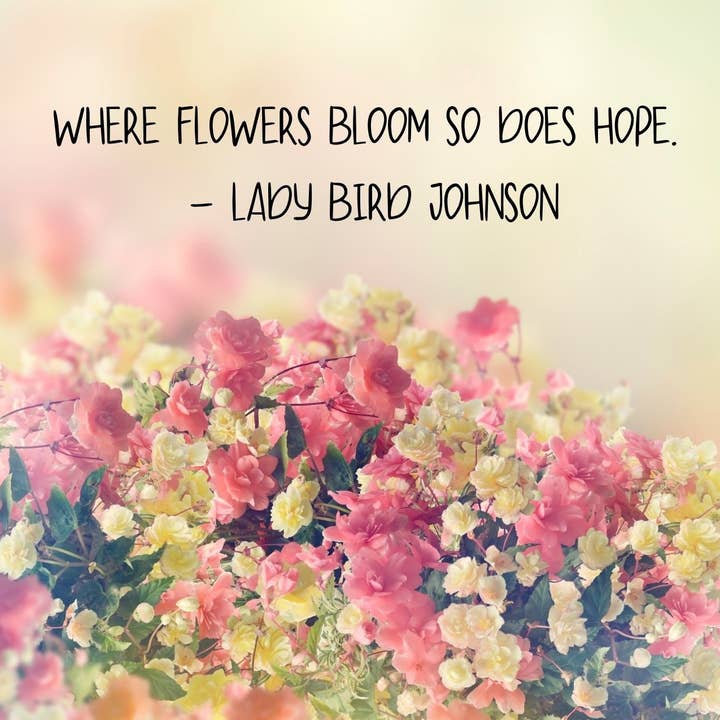 Literary Quote Postcard - Lady Bird Johnson for wholesale by Piles of Postcards