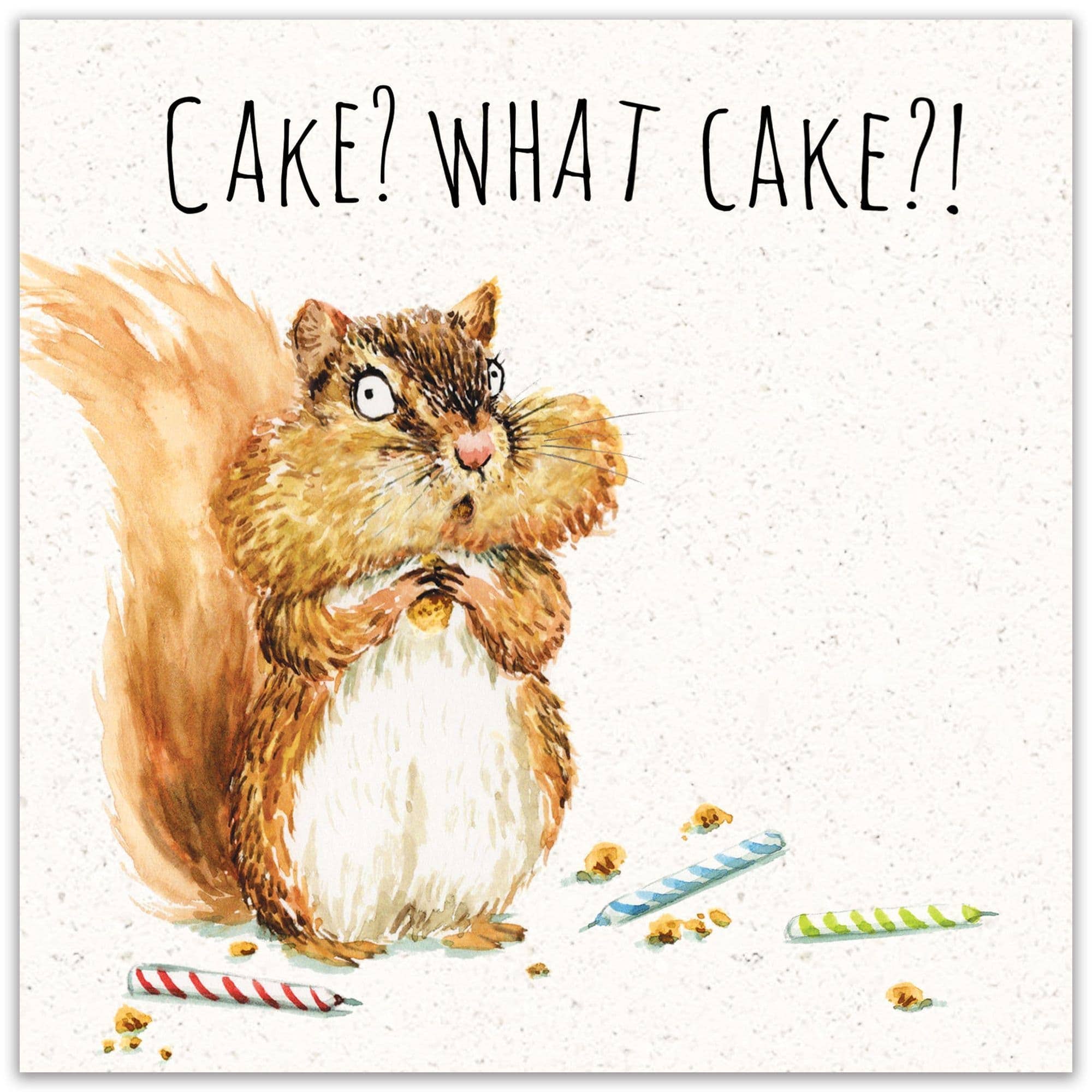 Twizler Ltd – wholesale Birthday card – What Cake - Funny Birthday Card1