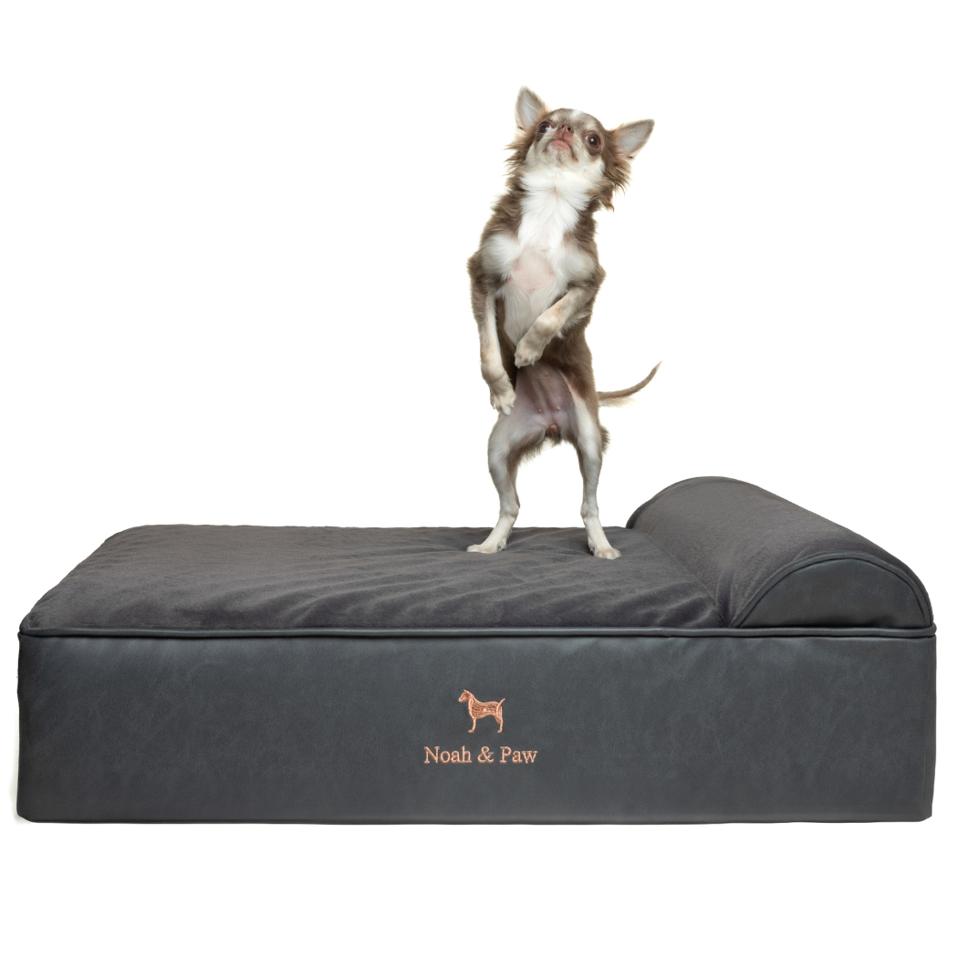 NOAH AND PAW LLC – Großhandel Haustierbett – Katze/Hund – Orthopädisches Hundebett aus Kunstleder mit Memory-Schaum und kühlendem Gel, klassischer Stil1