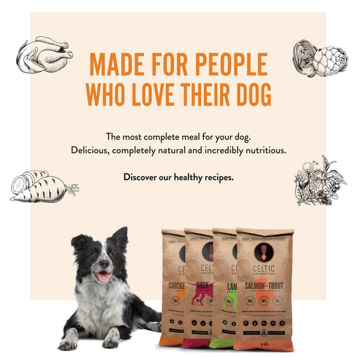 Celtic Connection Holistic Pet Food – Großhandel Tiernahrung – Hund – Hundefutter-Flyer